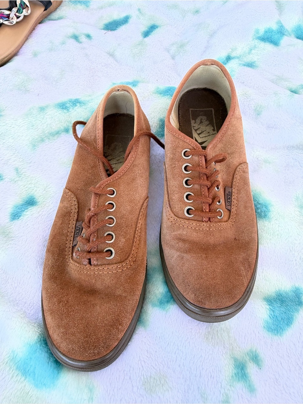 Vans Men's Suede Lace-Up Sneakers in Brown